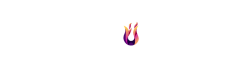 XenBurn Logo